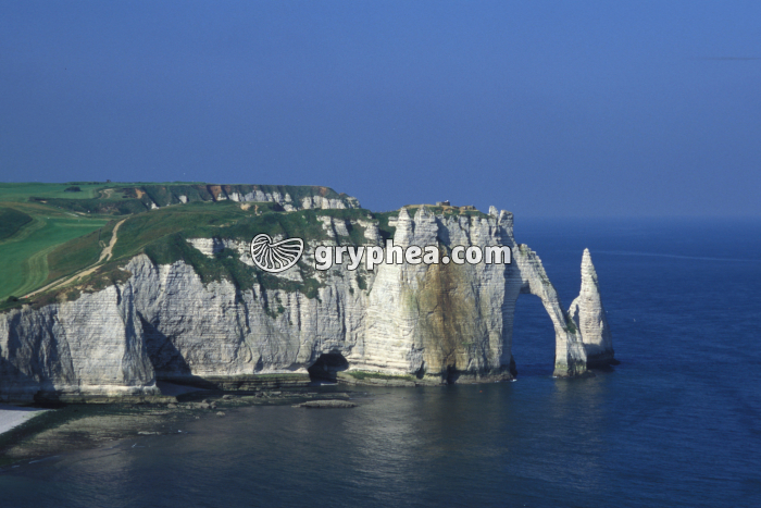Falaises de craie (Etretat, Normandie) - gryphea.org